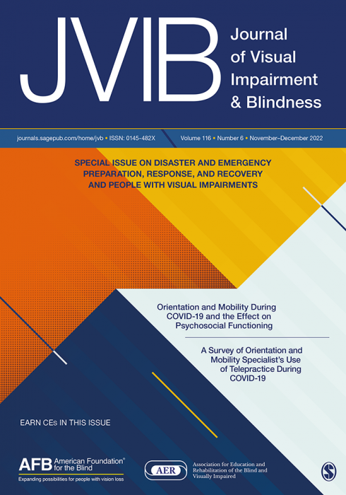 „Journal of Visual Impairment and Blindness“ 2022 m. 6-ojo numerio apžvalga